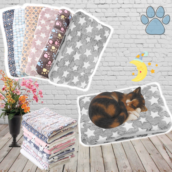 jelly cat dog blanket