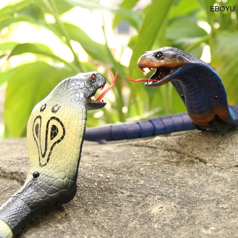 animal planet remote control snake